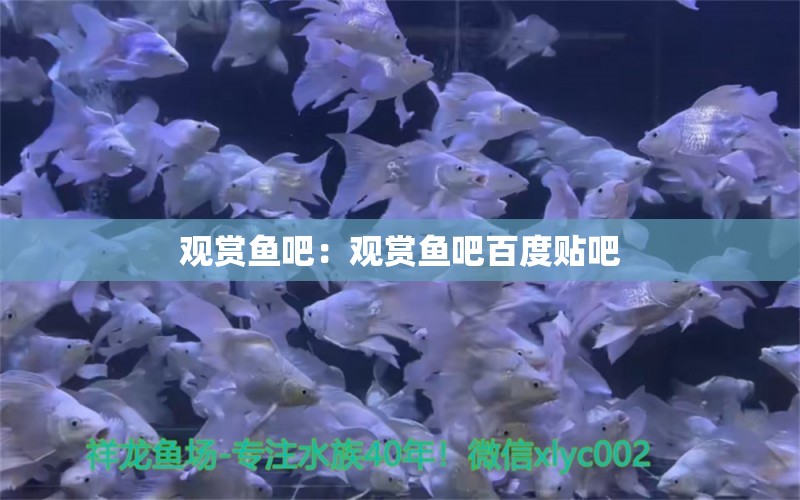 觀賞魚吧：觀賞魚吧百度貼吧