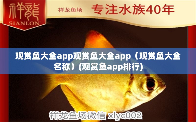 觀賞魚大全app觀賞魚大全app（觀賞魚大全名稱）(觀賞魚app排行) 印尼紅龍魚