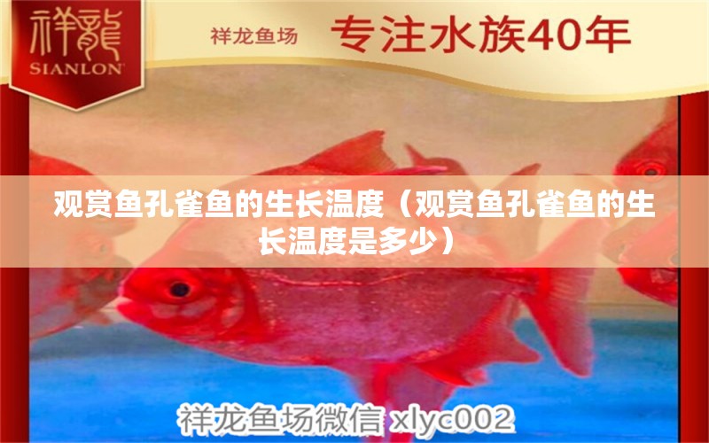 觀賞魚孔雀魚的生長溫度（觀賞魚孔雀魚的生長溫度是多少）