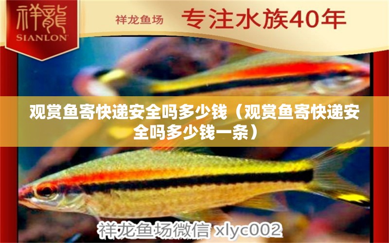 觀賞魚寄快遞安全嗎多少錢（觀賞魚寄快遞安全嗎多少錢一條）