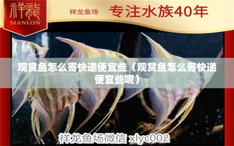 觀賞魚怎么寄快遞便宜些（觀賞魚怎么寄快遞便宜些呢） 觀賞魚市場（混養(yǎng)魚）