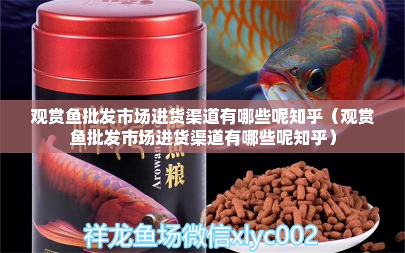 觀賞魚批發(fā)市場進(jìn)貨渠道有哪些呢知乎（觀賞魚批發(fā)市場進(jìn)貨渠道有哪些呢知乎）