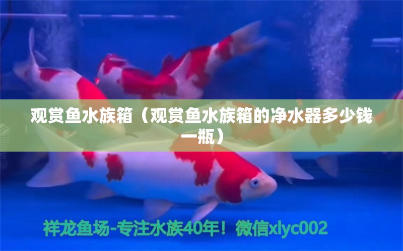 觀賞魚(yú)水族箱（觀賞魚(yú)水族箱的凈水器多少錢(qián)一瓶）