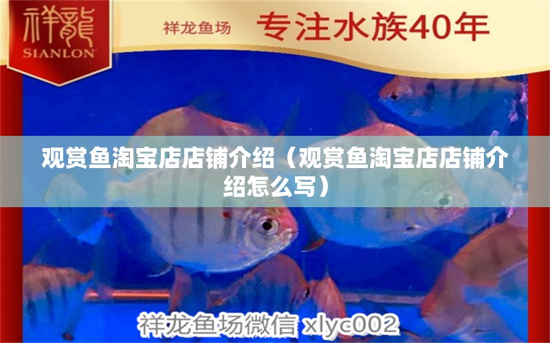 觀賞魚(yú)淘寶店店鋪介紹（觀賞魚(yú)淘寶店店鋪介紹怎么寫(xiě)）