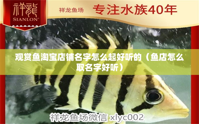 觀賞魚淘寶店鋪名字怎么起好聽的（魚店怎么取名字好聽）