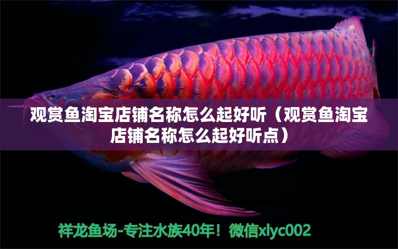 觀賞魚淘寶店鋪名稱怎么起好聽（觀賞魚淘寶店鋪名稱怎么起好聽點(diǎn)）