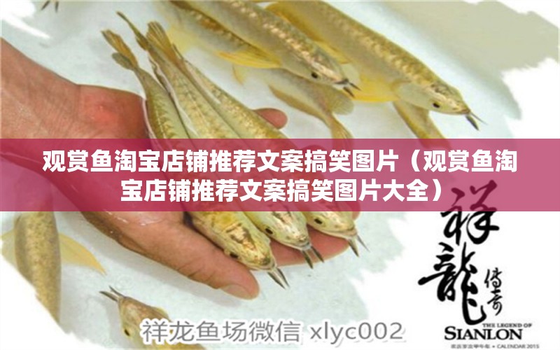 觀賞魚淘寶店鋪推薦文案搞笑圖片（觀賞魚淘寶店鋪推薦文案搞笑圖片大全） 祥龍水族醫(yī)院