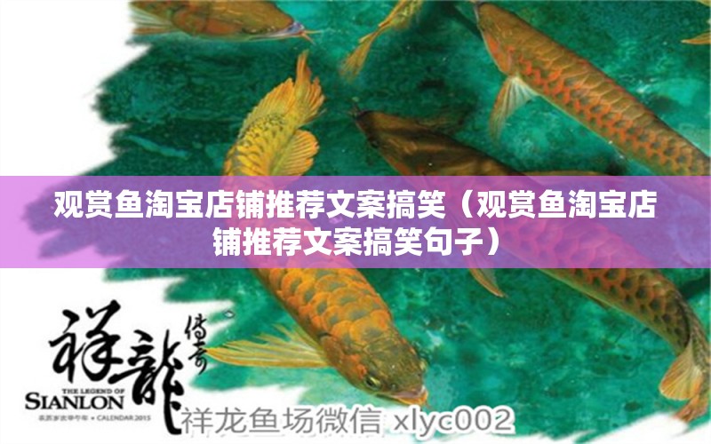 觀賞魚淘寶店鋪推薦文案搞笑（觀賞魚淘寶店鋪推薦文案搞笑句子） 創(chuàng)寧水族