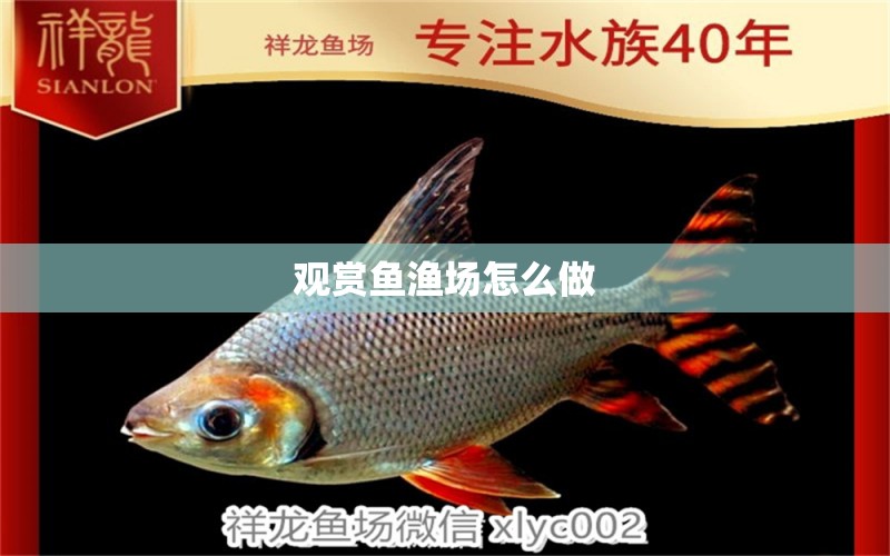 觀賞魚漁場(chǎng)怎么做 祥龍魚場(chǎng)