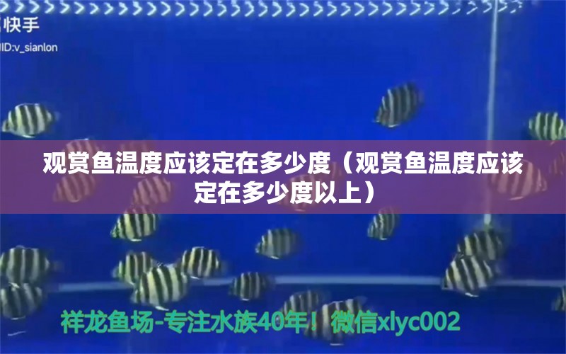 觀賞魚溫度應(yīng)該定在多少度（觀賞魚溫度應(yīng)該定在多少度以上）