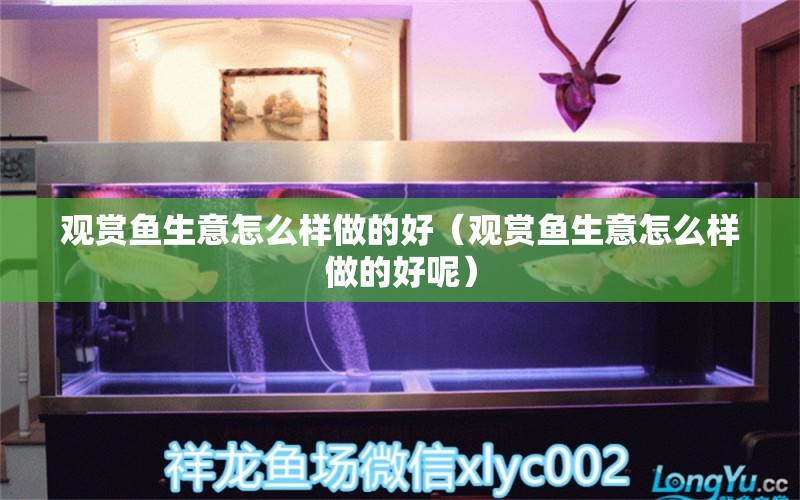 觀賞魚生意怎么樣做的好（觀賞魚生意怎么樣做的好呢） 觀賞魚市場（混養(yǎng)魚）