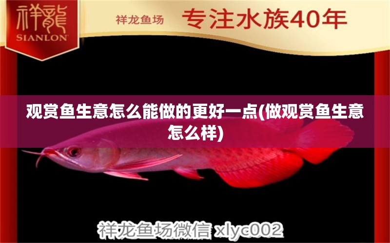 觀賞魚生意怎么能做的更好一點(diǎn)(做觀賞魚生意怎么樣) 其他品牌魚缸