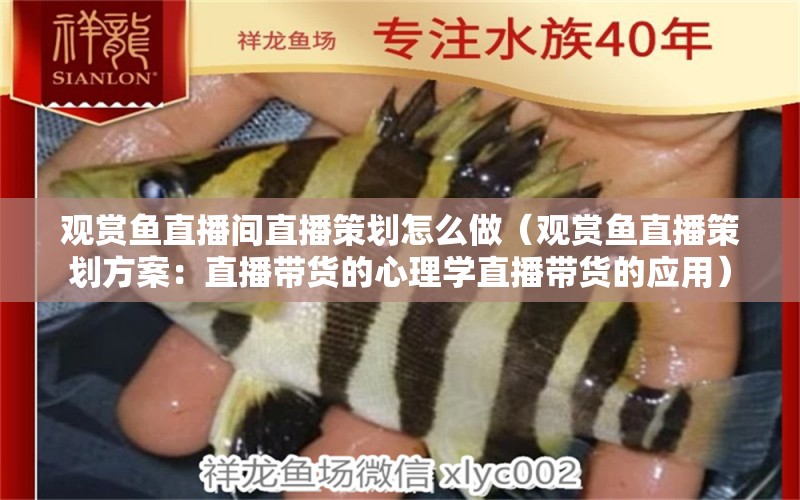 觀賞魚直播間直播策劃怎么做（觀賞魚直播策劃方案：直播帶貨的心理學(xué)直播帶貨的應(yīng)用） 愛龍仕 第2張