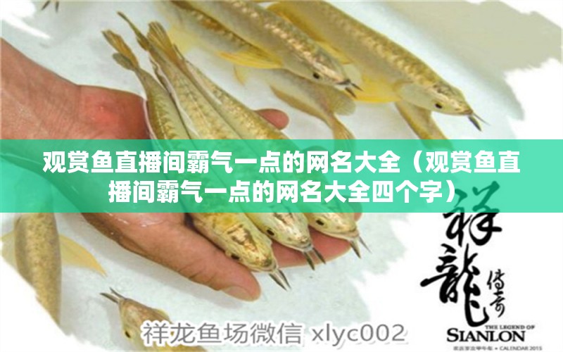 觀賞魚直播間霸氣一點(diǎn)的網(wǎng)名大全（觀賞魚直播間霸氣一點(diǎn)的網(wǎng)名大全四個(gè)字）