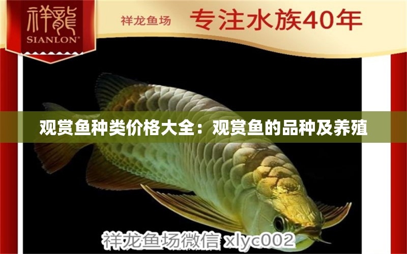 觀賞魚種類價格大全：觀賞魚的品種及養(yǎng)殖 廣州水族批發(fā)市場 第1張