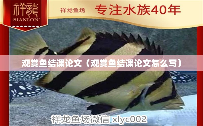 觀賞魚結課論文（觀賞魚結課論文怎么寫） 魚缸/水族箱