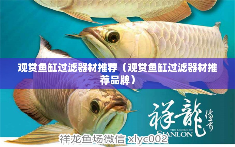 觀賞魚缸過濾器材推薦（觀賞魚缸過濾器材推薦品牌）