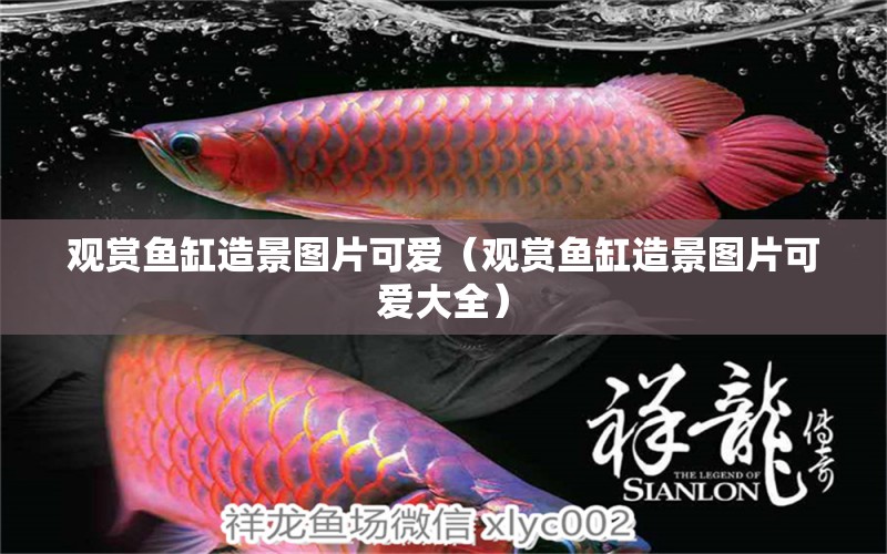 觀賞魚缸造景圖片可愛（觀賞魚缸造景圖片可愛大全）