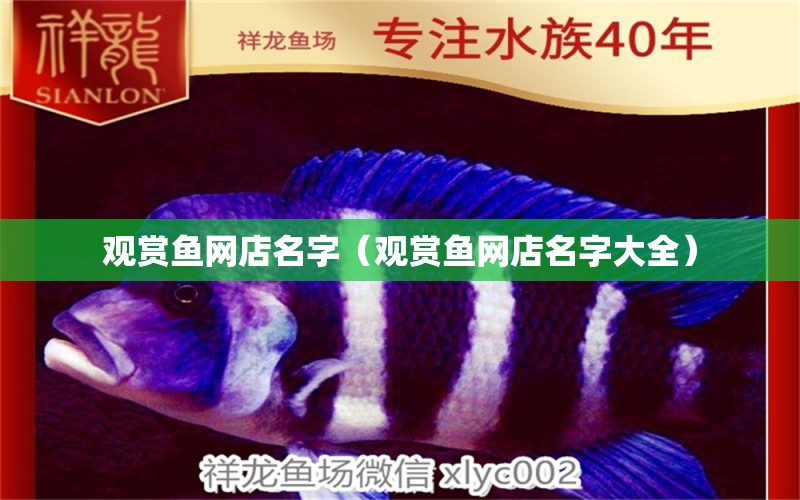 觀賞魚網(wǎng)店名字（觀賞魚網(wǎng)店名字大全） 網(wǎng)上購買觀賞魚