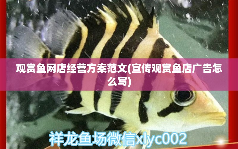 觀賞魚網(wǎng)店經(jīng)營方案范文(宣傳觀賞魚店廣告怎么寫)