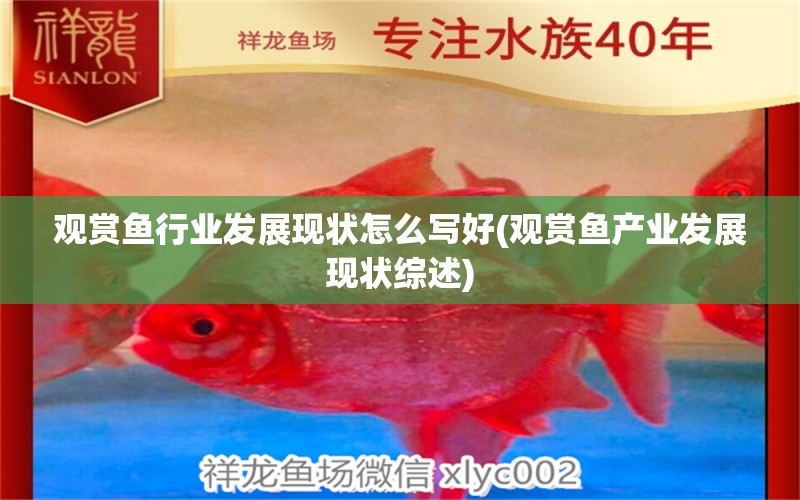 觀賞魚行業(yè)發(fā)展現(xiàn)狀怎么寫好(觀賞魚產(chǎn)業(yè)發(fā)展現(xiàn)狀綜述) 孵化器