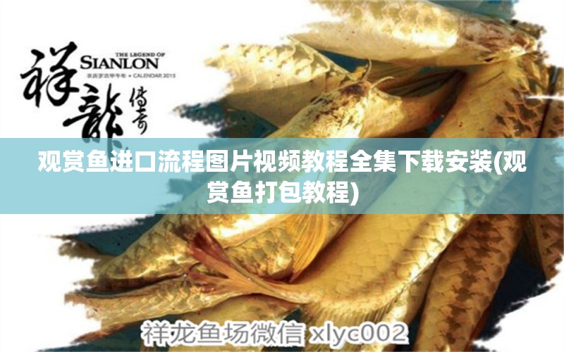 觀賞魚進(jìn)口流程圖片視頻教程全集下載安裝(觀賞魚打包教程) 觀賞魚進(jìn)出口 第2張