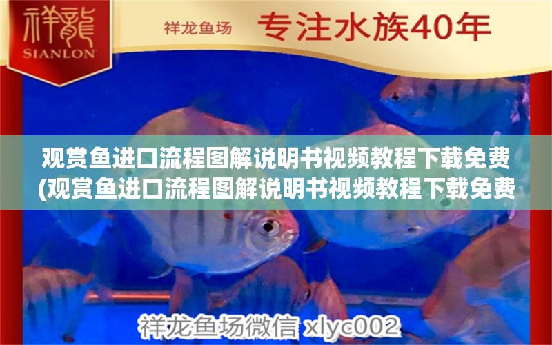 觀賞魚進(jìn)口流程圖解說明書視頻教程下載免費(fèi)(觀賞魚進(jìn)口流程圖解說明書視頻教程下載免費(fèi)大全) 觀賞魚進(jìn)出口 第1張