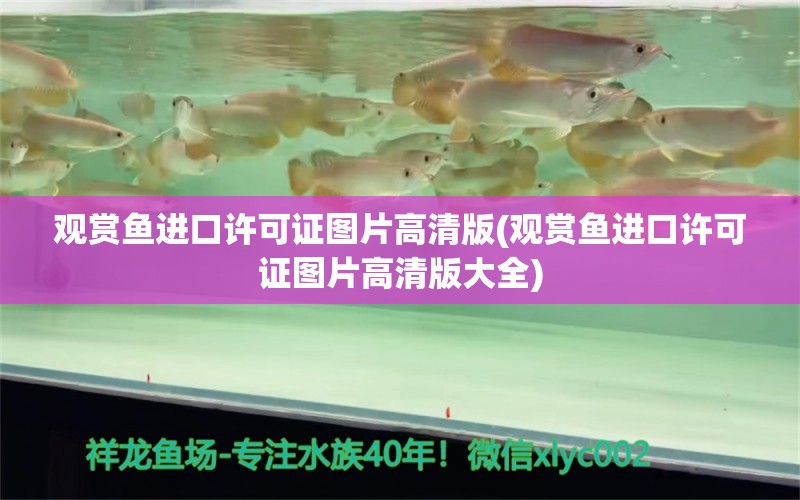 觀賞魚進口許可證圖片高清版(觀賞魚進口許可證圖片高清版大全) 觀賞魚進出口 第1張