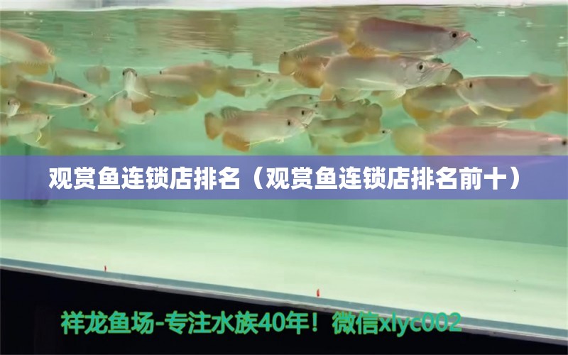 觀賞魚連鎖店排名（觀賞魚連鎖店排名前十）