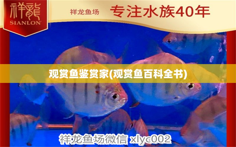 觀賞魚(yú)鑒賞家(觀賞魚(yú)百科全書(shū))