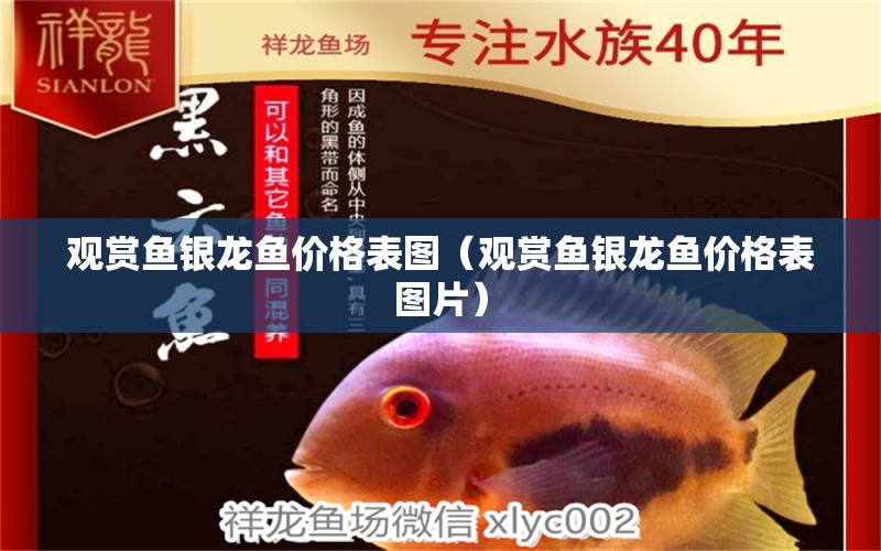 觀賞魚銀龍魚價(jià)格表圖（觀賞魚銀龍魚價(jià)格表圖片） 銀龍魚