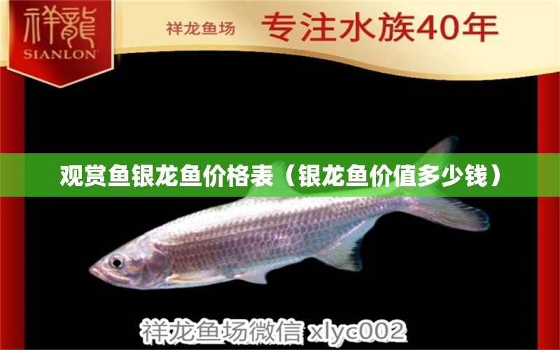 觀賞魚銀龍魚價格表（銀龍魚價值多少錢） 銀龍魚百科 第1張