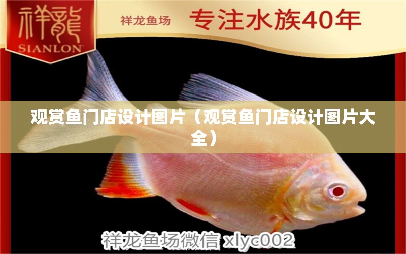 觀賞魚門店設(shè)計(jì)圖片（觀賞魚門店設(shè)計(jì)圖片大全） 青龍魚