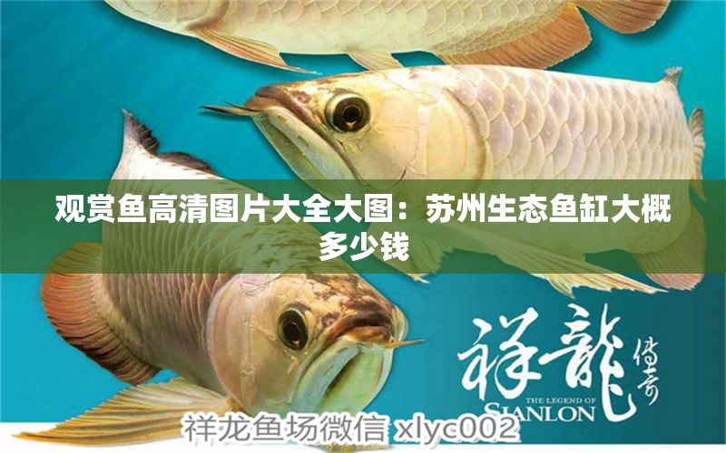 觀賞魚高清圖片大全大圖：蘇州生態(tài)魚缸大概多少錢