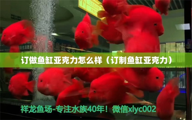 訂做魚(yú)缸亞克力怎么樣（訂制魚(yú)缸亞克力） 翡翠鳳凰魚(yú)