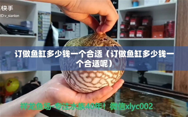 訂做魚缸多少錢一個合適（訂做魚缸多少錢一個合適呢）