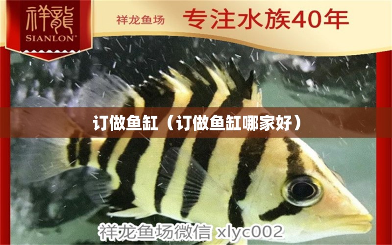 訂做魚缸（訂做魚缸哪家好）