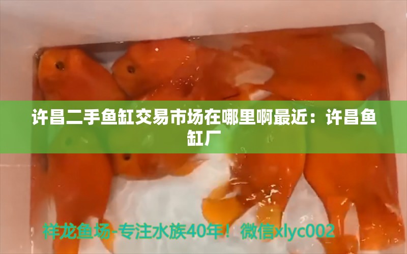 許昌二手魚缸交易市場在哪里啊最近：許昌魚缸廠