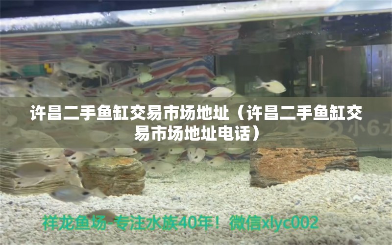 許昌二手魚(yú)缸交易市場(chǎng)地址（許昌二手魚(yú)缸交易市場(chǎng)地址電話） 其他品牌魚(yú)缸