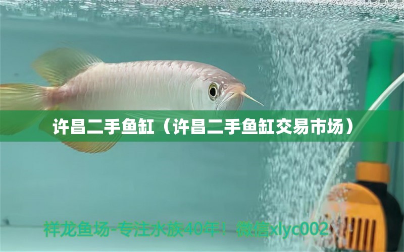 許昌二手魚缸（許昌二手魚缸交易市場(chǎng)）