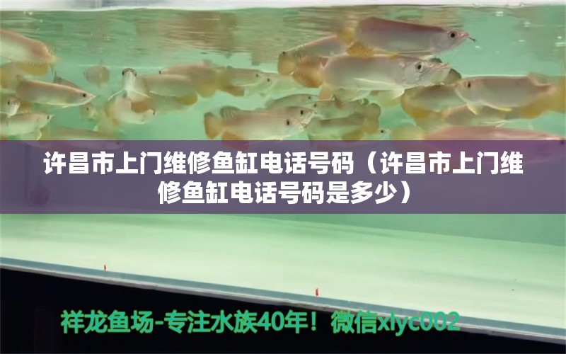 許昌市上門維修魚缸電話號碼（許昌市上門維修魚缸電話號碼是多少）