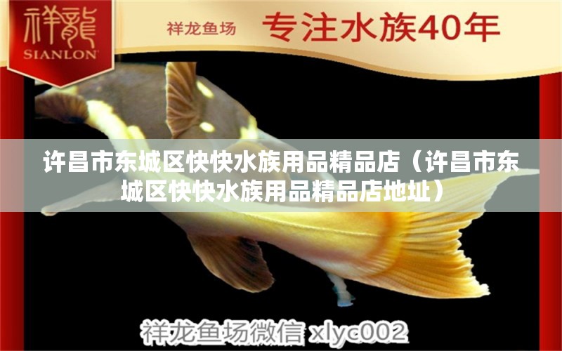 許昌市東城區(qū)快快水族用品精品店（許昌市東城區(qū)快快水族用品精品店地址） 水族用品