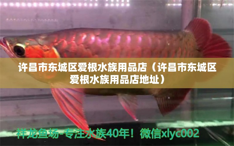 許昌市東城區(qū)愛根水族用品店（許昌市東城區(qū)愛根水族用品店地址）