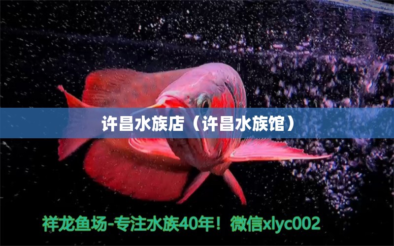 許昌水族店（許昌水族館） 觀賞魚市場