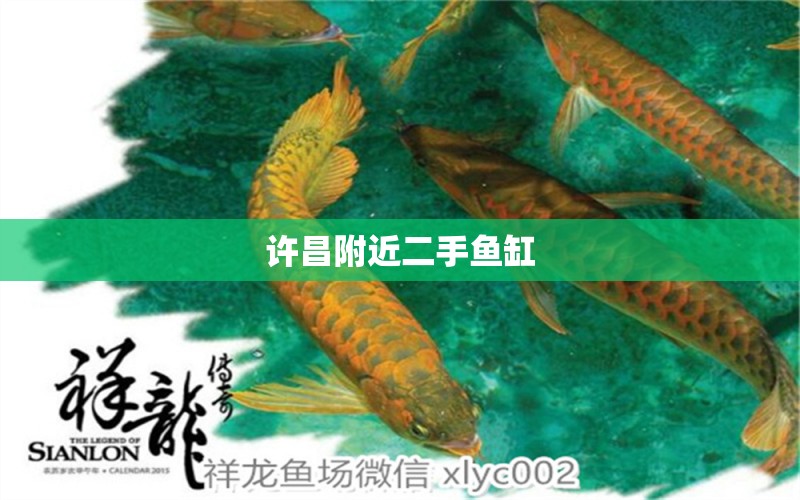 許昌附近二手魚缸