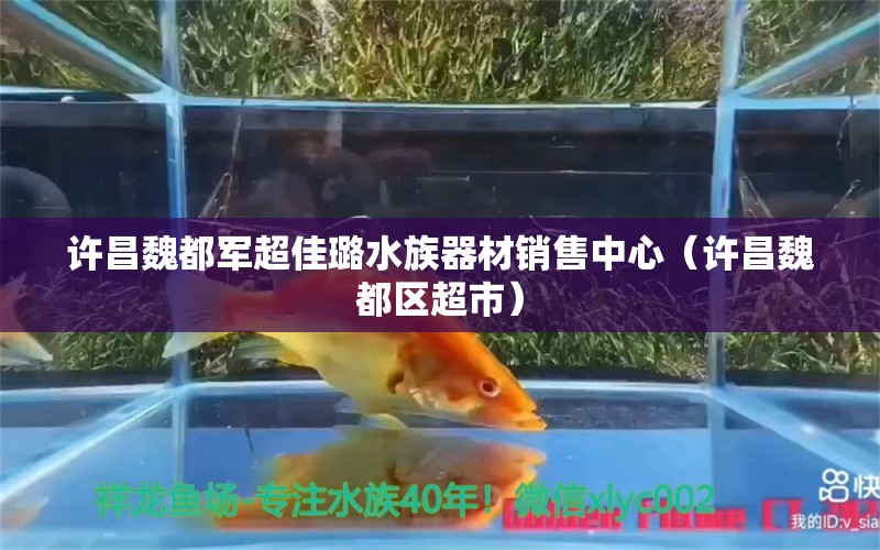 許昌魏都軍超佳璐水族器材銷售中心（許昌魏都區(qū)超市）