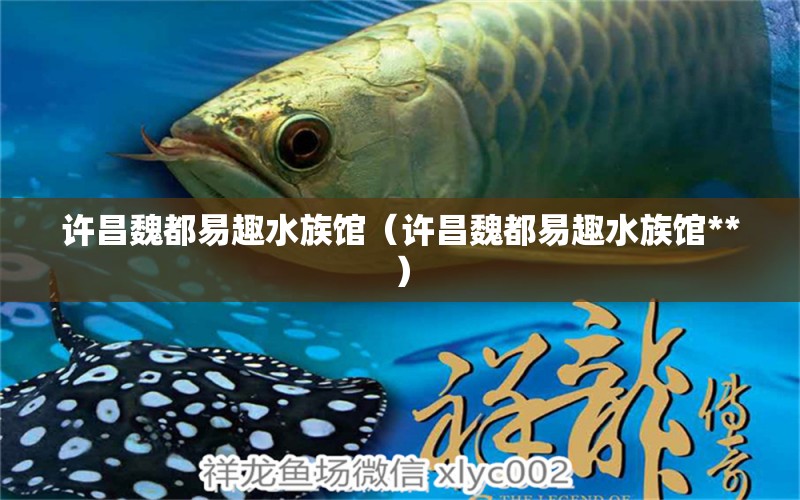 許昌魏都易趣水族館（許昌魏都易趣水族館**） 全國水族館企業(yè)名錄