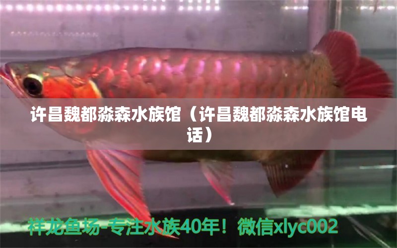 許昌魏都淼森水族館（許昌魏都淼森水族館電話）