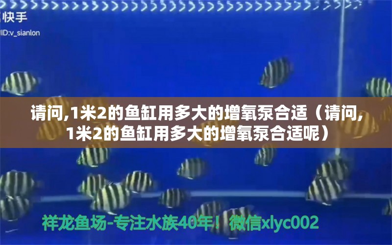 請問,1米2的魚缸用多大的增氧泵合適（請問,1米2的魚缸用多大的增氧泵合適呢） 其他品牌魚缸