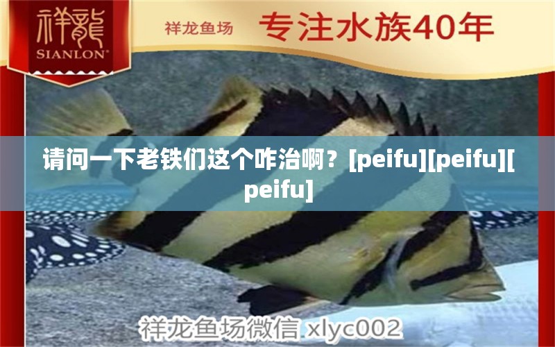 請問一下老鐵們這個咋治??？[peifu][peifu][peifu] 觀賞魚論壇 第2張